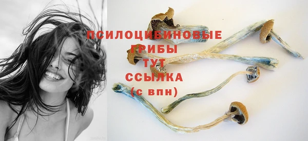 дурь Переславль-Залесский
