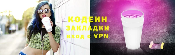 молекула духа Елизово