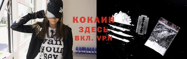 молекула духа Елизово