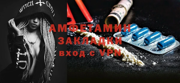 ПСИЛОЦИБИНОВЫЕ ГРИБЫ Ельня