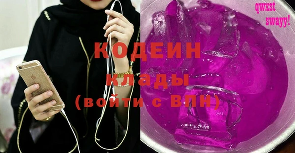 молекула духа Елизово