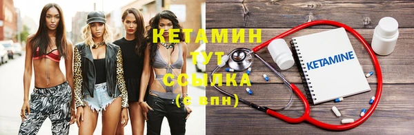 ПСИЛОЦИБИНОВЫЕ ГРИБЫ Ельня