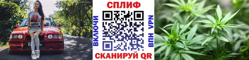 Бошки Шишки THC 21% Пестово